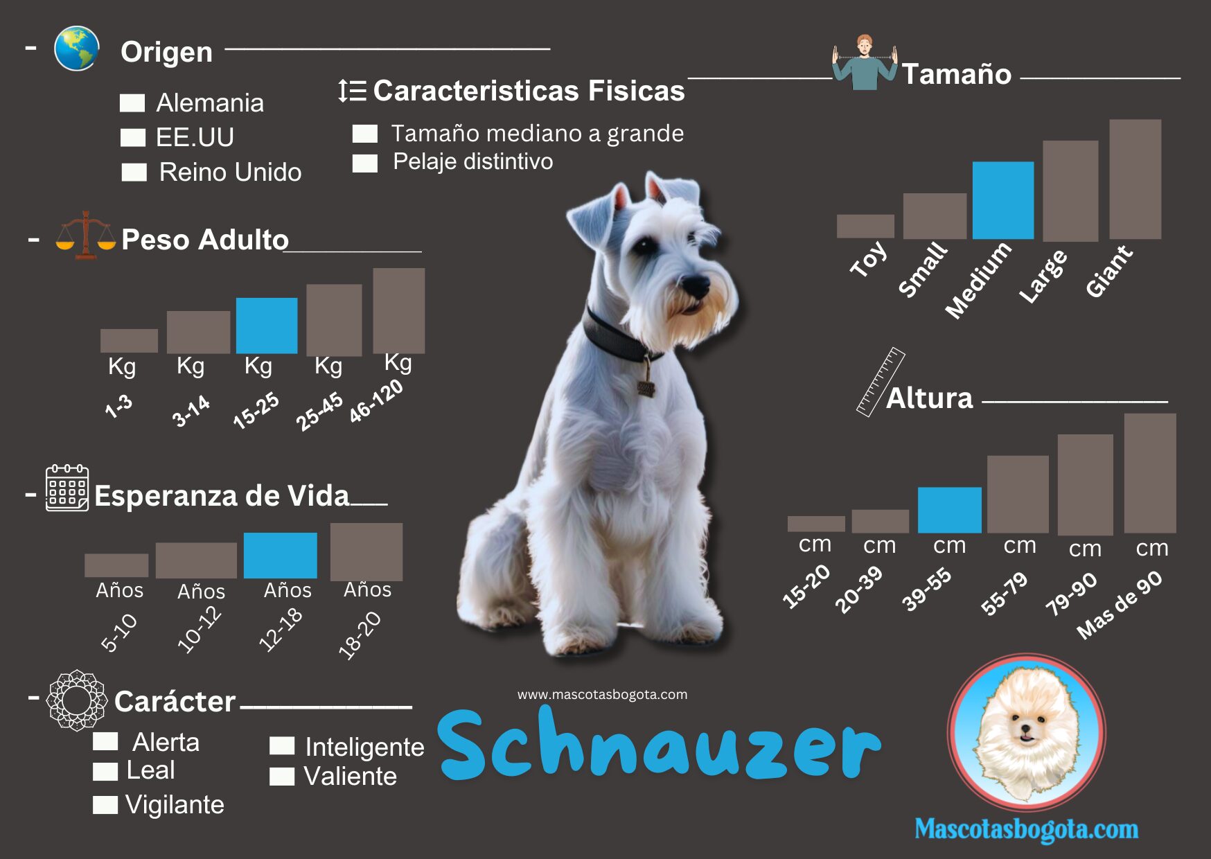 cuanto pesa un mini schnauzer